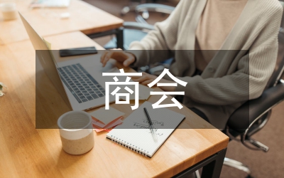 商會上半年總結(jié)及下半年思路