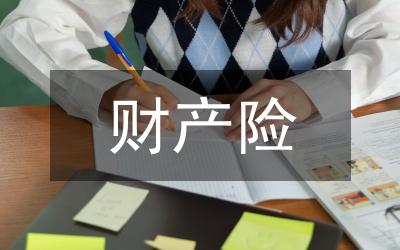 財(cái)產(chǎn)混同的認(rèn)定審計(jì)報(bào)告