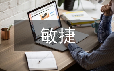 敏捷供應(yīng)鏈競爭力體現(xiàn)論文