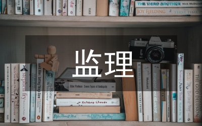 監(jiān)理日記投資項(xiàng)目論文