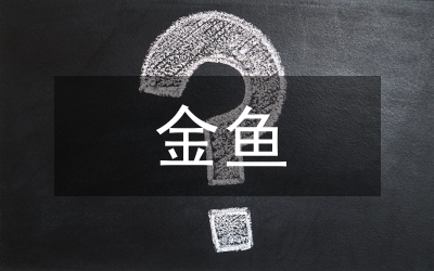 金魚(yú)的故事