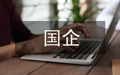 半年國(guó)企工作總結(jié)