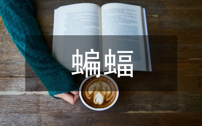 蝙蝠和雷達(dá)