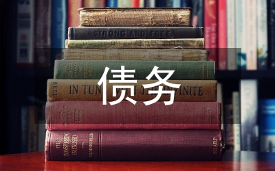 債務(wù)化解情況匯報(bào)