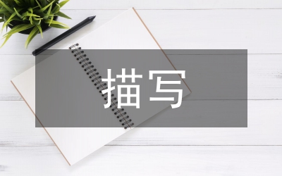 描寫美術(shù)論文