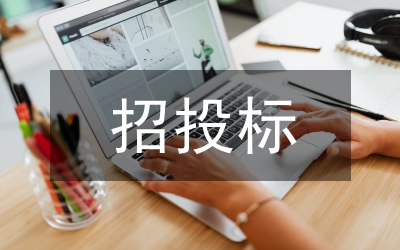 國內(nèi)外招投標(biāo)現(xiàn)狀分析