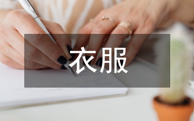 衣服銷售工作總結(jié)