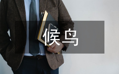 北飛的候鳥(niǎo)