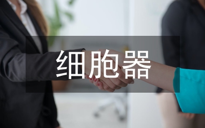 細(xì)胞器系統(tǒng)內(nèi)的分工合作