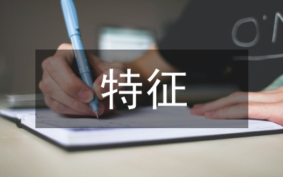 平面設(shè)計(jì)范疇及其特征