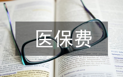 保險(xiǎn)公司應(yīng)收保費(fèi)管理