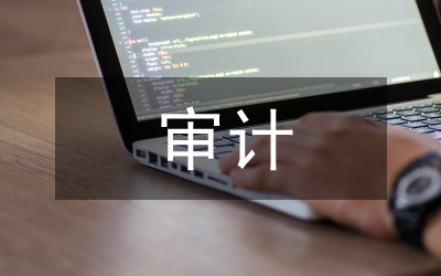 審計(jì)科半年工作總結(jié)