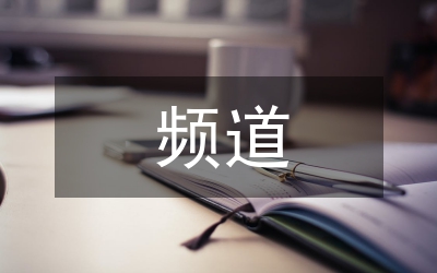 央視電視劇頻道改版管理論文