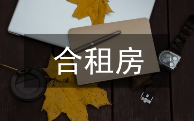 租房調(diào)查報告