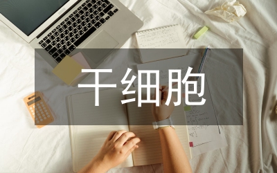 多能干細(xì)胞