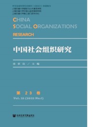 中國社會(huì)組織研究
