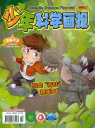少年科學(xué)畫(huà)報(bào)雜志